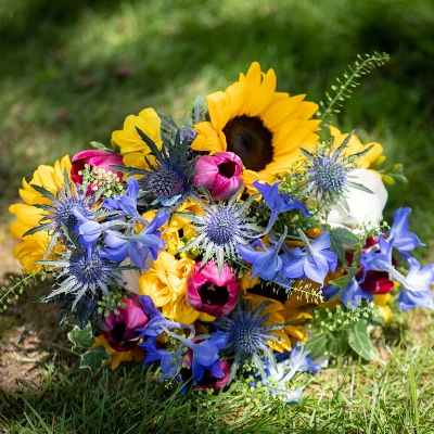Seasonal blooms