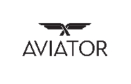 Visit the Aviator website
