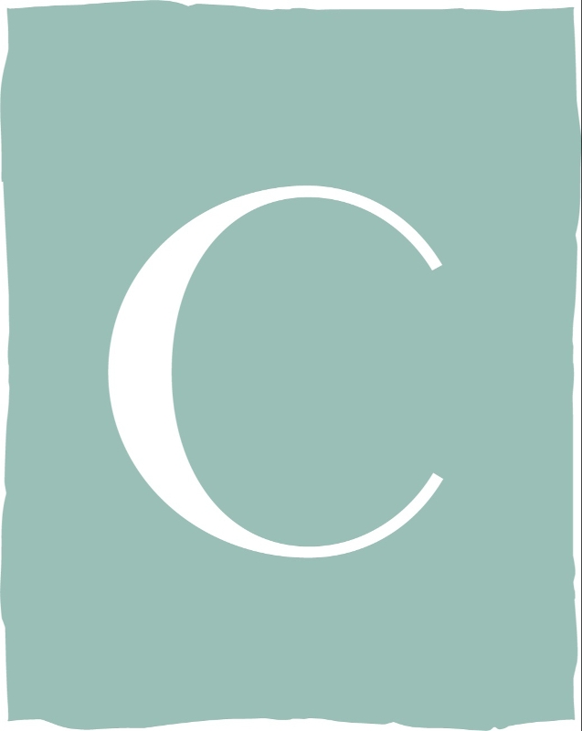 Gallery image 16: chameleon-for-beautiful-clothes-and-bridal