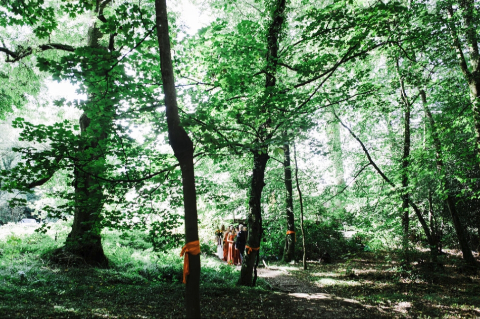 Gallery image 9: weddings-in-the-wood