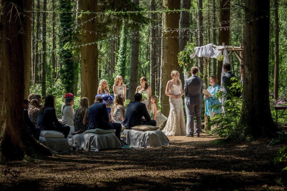 Gallery image 17: Weddings in the Wood