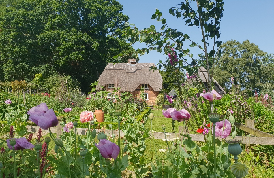 Image 10 from Minstead Trust venues