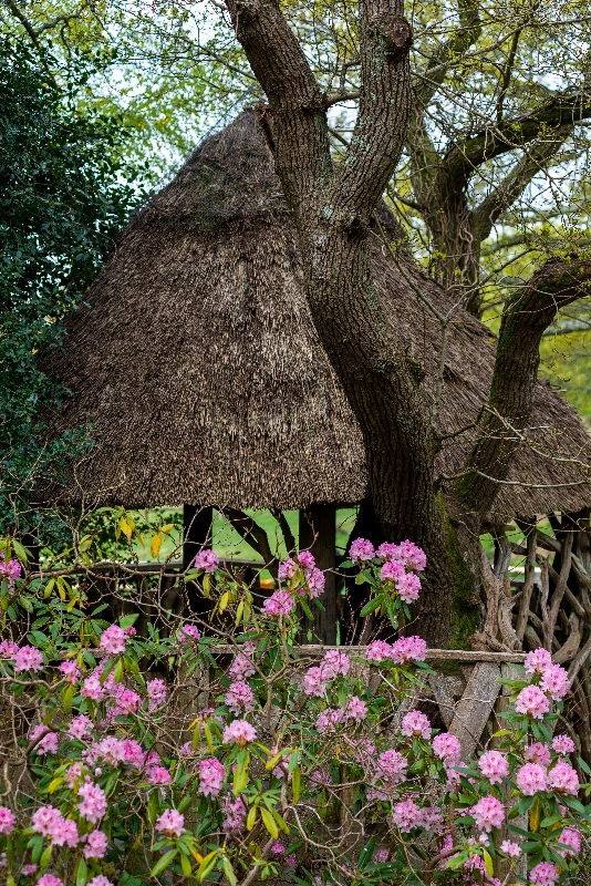 Image 13 from Minstead Trust venues