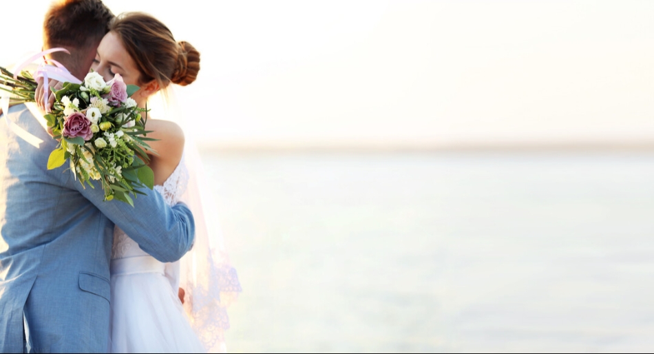 Gallery image 16: pando-cruises