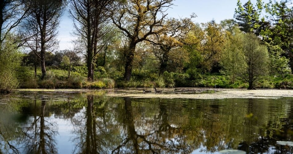 Gallery image 12: walhampton