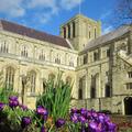 Thumbnail image 3 from Winchester Cathedral