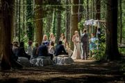 Thumbnail image 17 from Weddings in the Wood