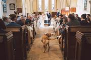 Thumbnail image 32 from Robbie Khan Photographer
