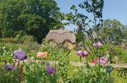Thumbnail image 10 from Minstead Trust venues