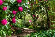 Thumbnail image 12 from Minstead Trust venues