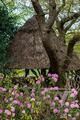 Thumbnail image 13 from Minstead Trust venues