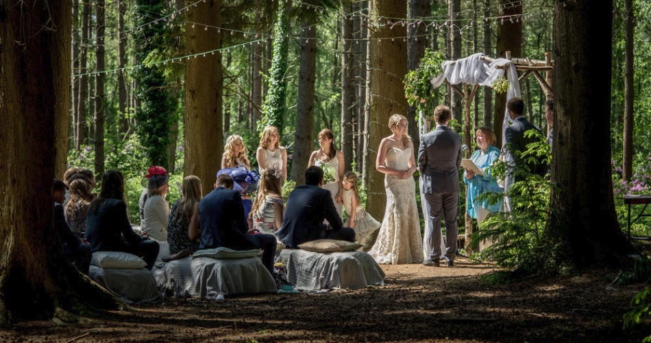 Image 1: Weddings in the Wood