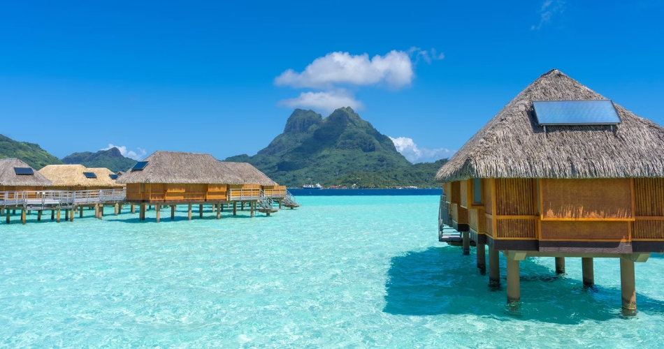 Image 1: Not Just Travel - Ellie Parkinson