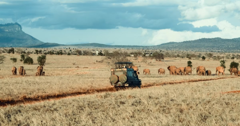 Image 3: Not Just Travel - Ellie Parkinson