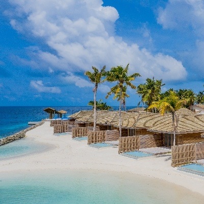 Dreaming of distant shores?