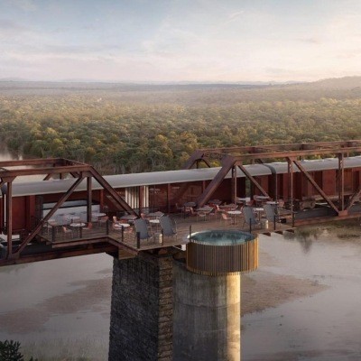 Exciting safari openings