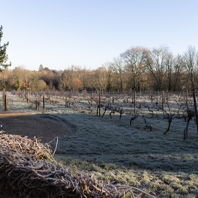 Al fresco weddings return to Botley wedding venue