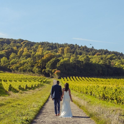 Wedding News: County Wedding Events coming to Denbies Wine Estate, Surrey!