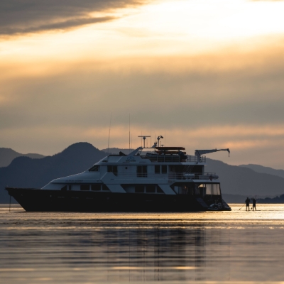 Gondwana Ecotours Launches Alaska Yacht Adventure for Wildlife Encounters