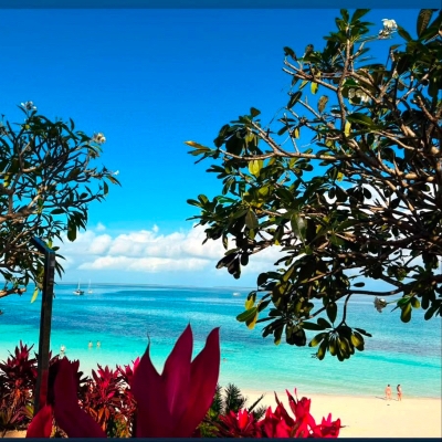 Wedding News: Not Just Travel unveils honeymoon trends