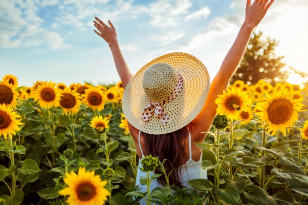 woman standing in field of sunflowers