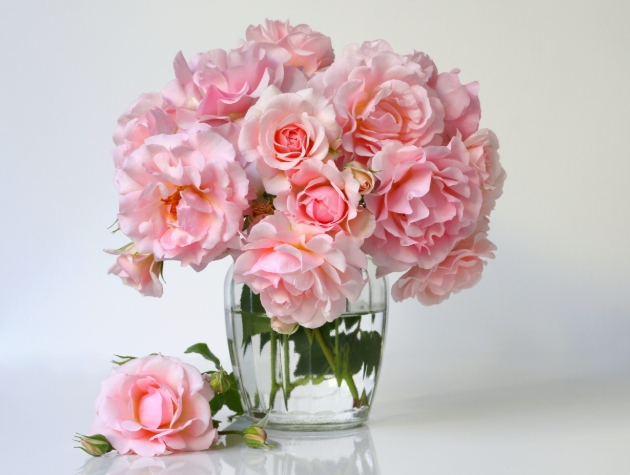 vase of pink roses