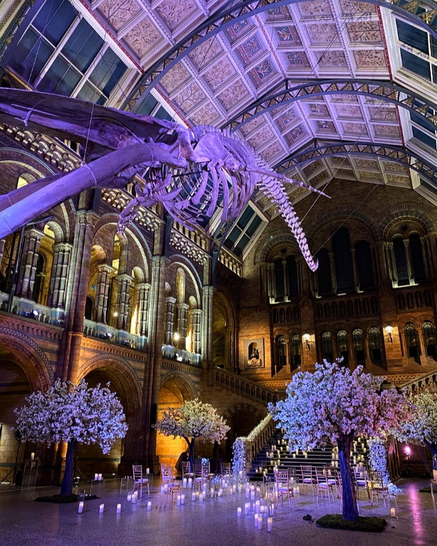 natural history museum at night, lit up by trees, lots of flowers