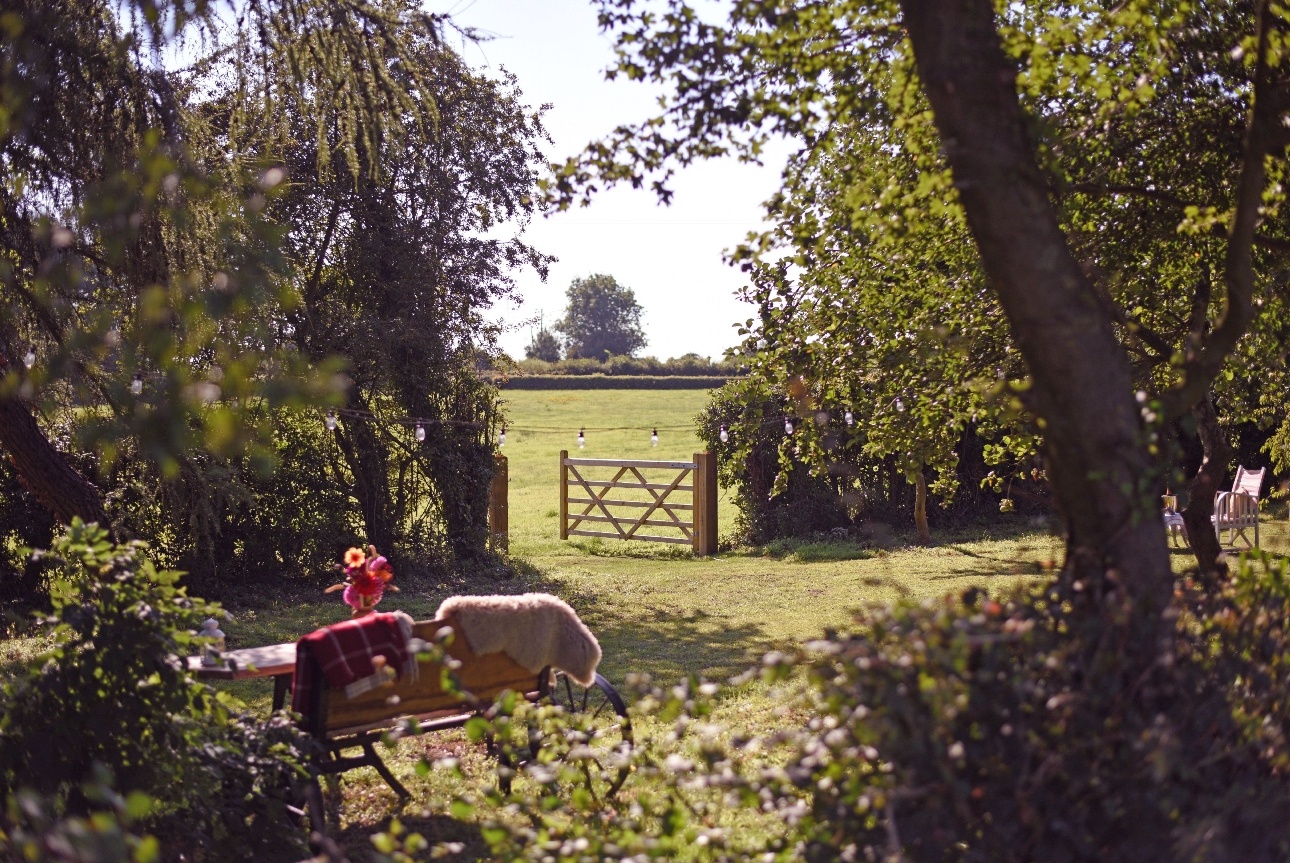 trees field table and chairs and gate