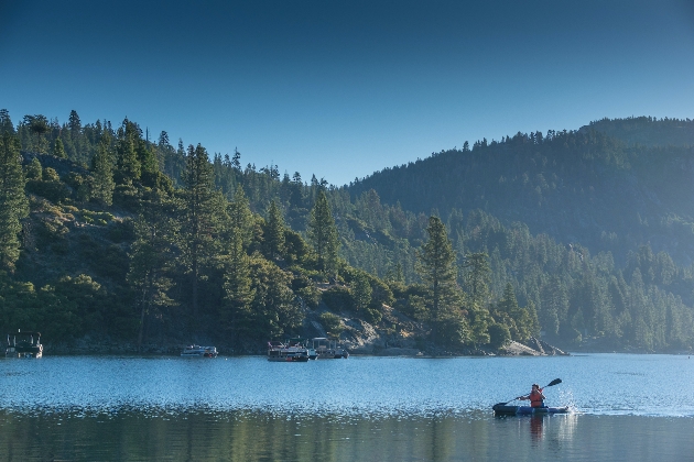 lake and trees