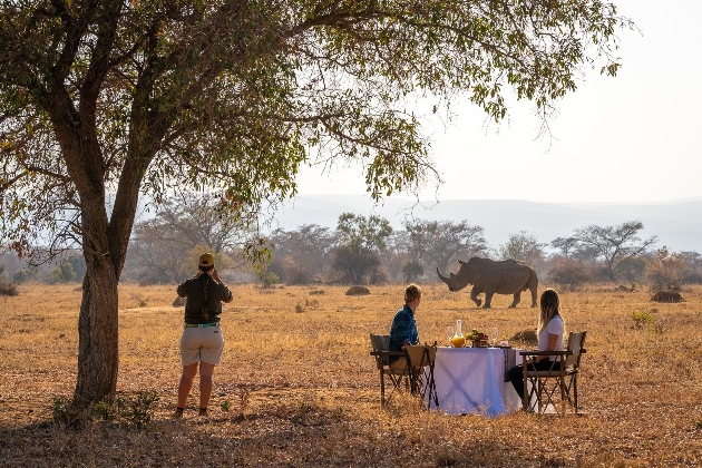 safari dinner rhino