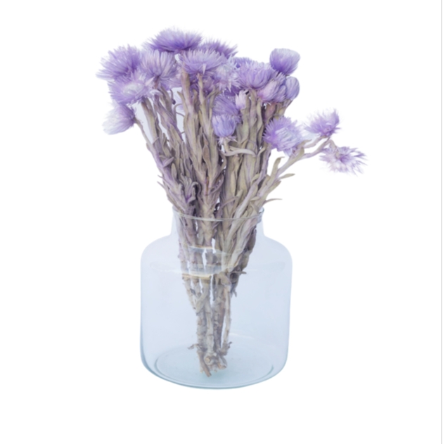 purple vas of dried lavender