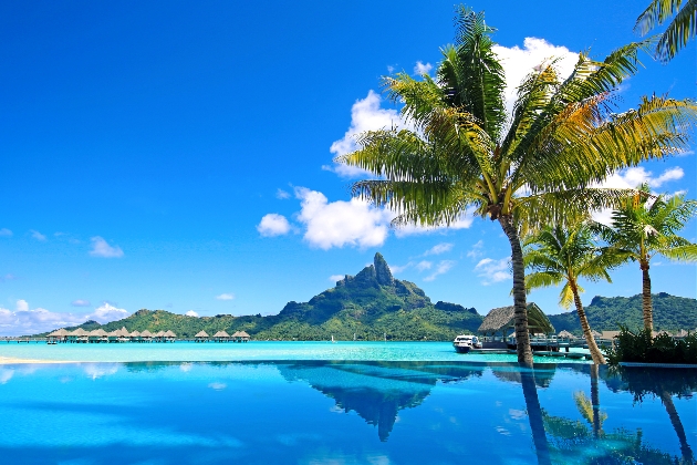 blue seas and skies islands and palm trees