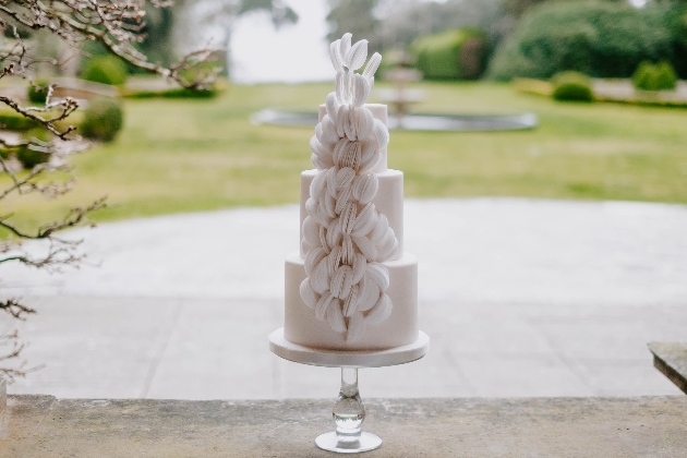 Amanda Black Cakes
