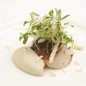 The Montagu Arms Hotel