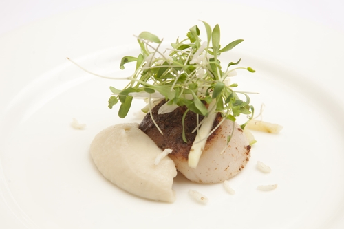 The Montagu Arms Hotel