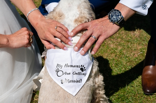 Image 8 from My Cornwall Wedding