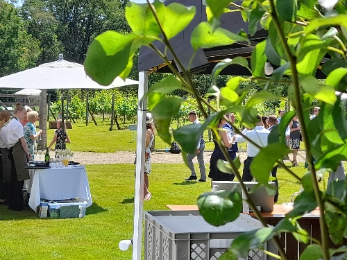 Wild Garlic Catering