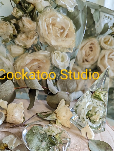 Cockatoo Studio