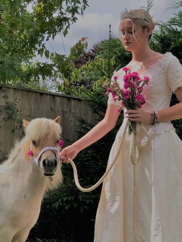 Pony n Paws