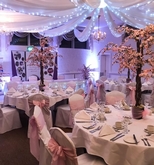 Thumbnail image 9 from Event Perfection Ltd