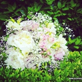 Thumbnail image 5 from Event Perfection Ltd