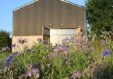 The Venue at Forest Edge Vineyard: Image 3