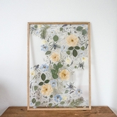 Thumbnail image 1 from Fields of Pressed Flowers